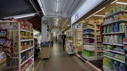 9 TELOK BLANGAH CRESCENT (D4), Shop House #485289001